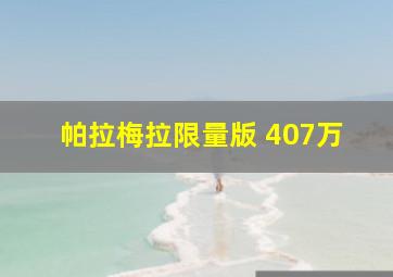 帕拉梅拉限量版 407万